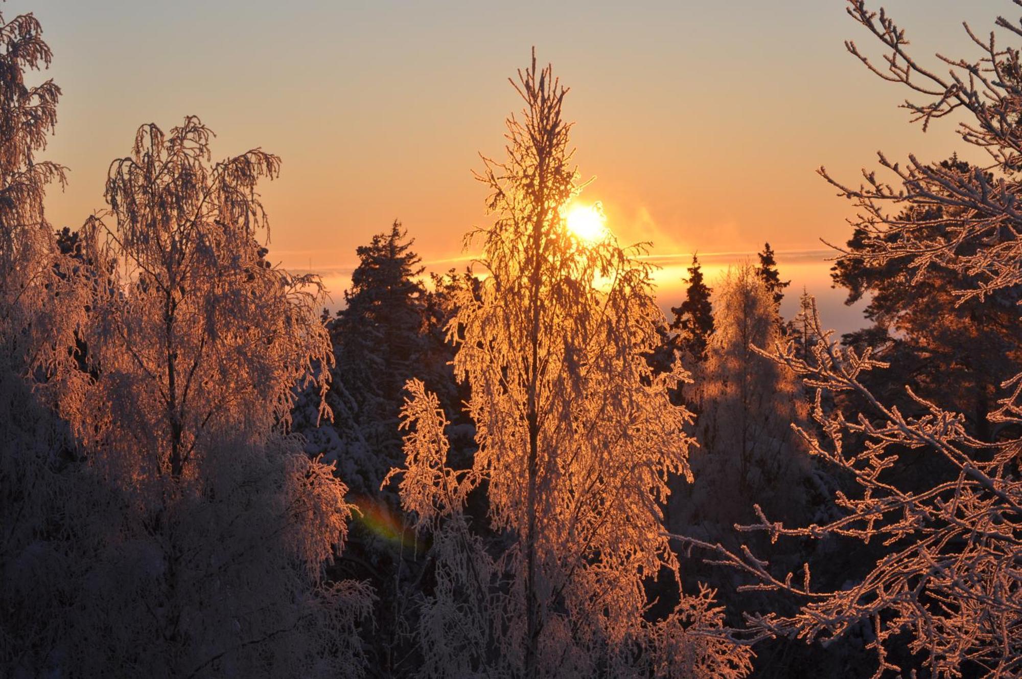 Hotel Vaihmalan Hovi Lempäälä Esterno foto